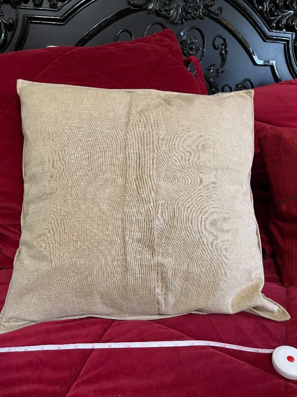 Pottery Barn dog pillow with insert